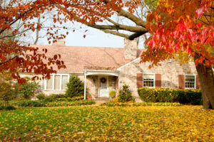 fall leaves house